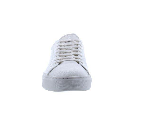 Loyalti Loyalti Patriot Reptile Trainers