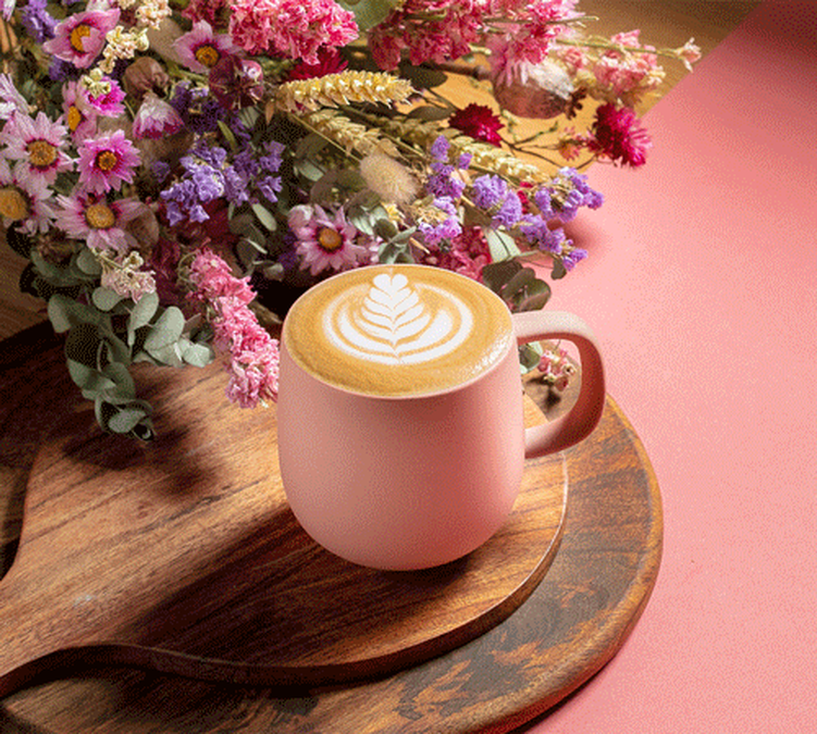 2 Mugs PYLANO Terra Brique - 33 cl