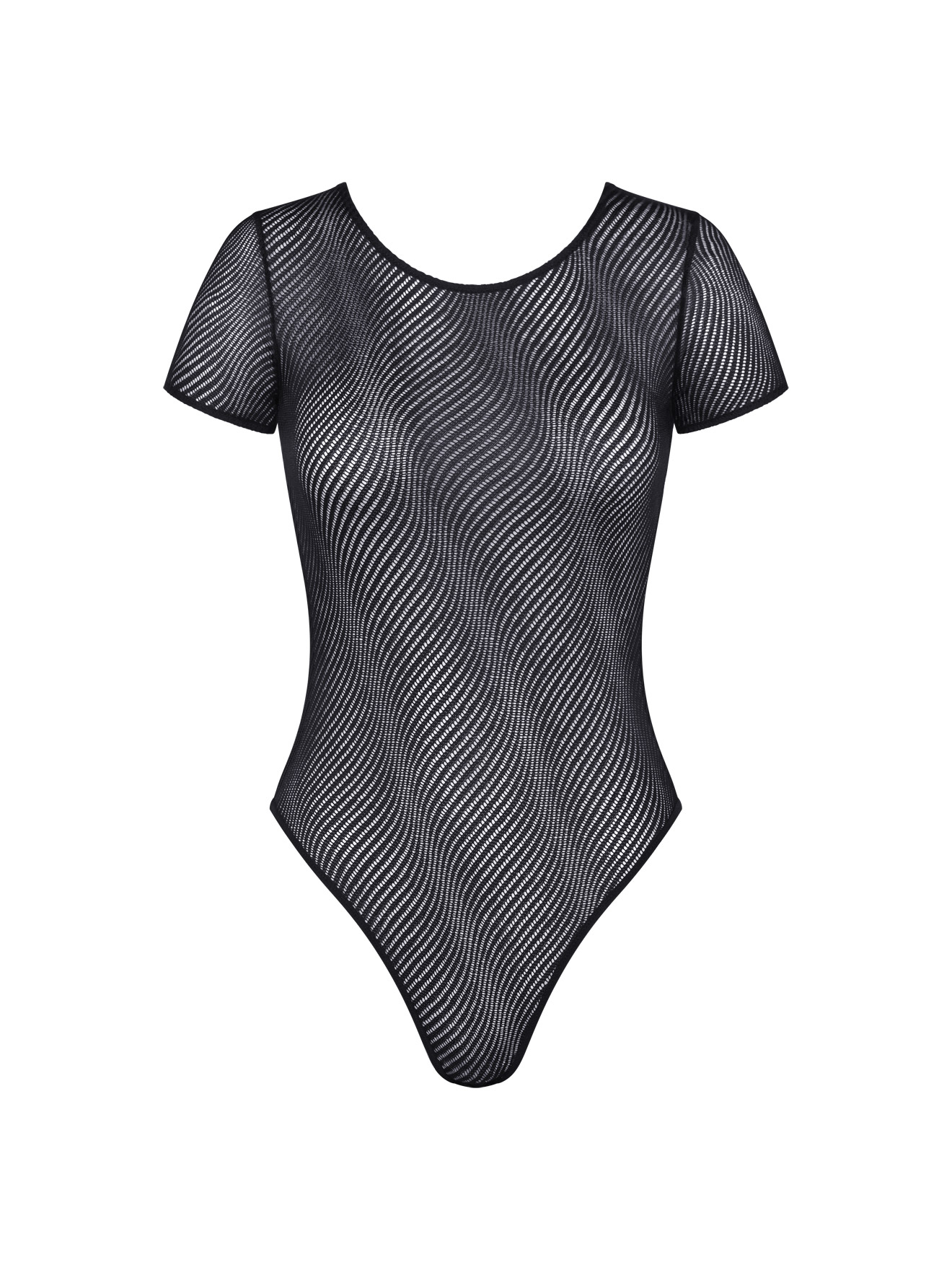 Body Harmony Spotlight Body
