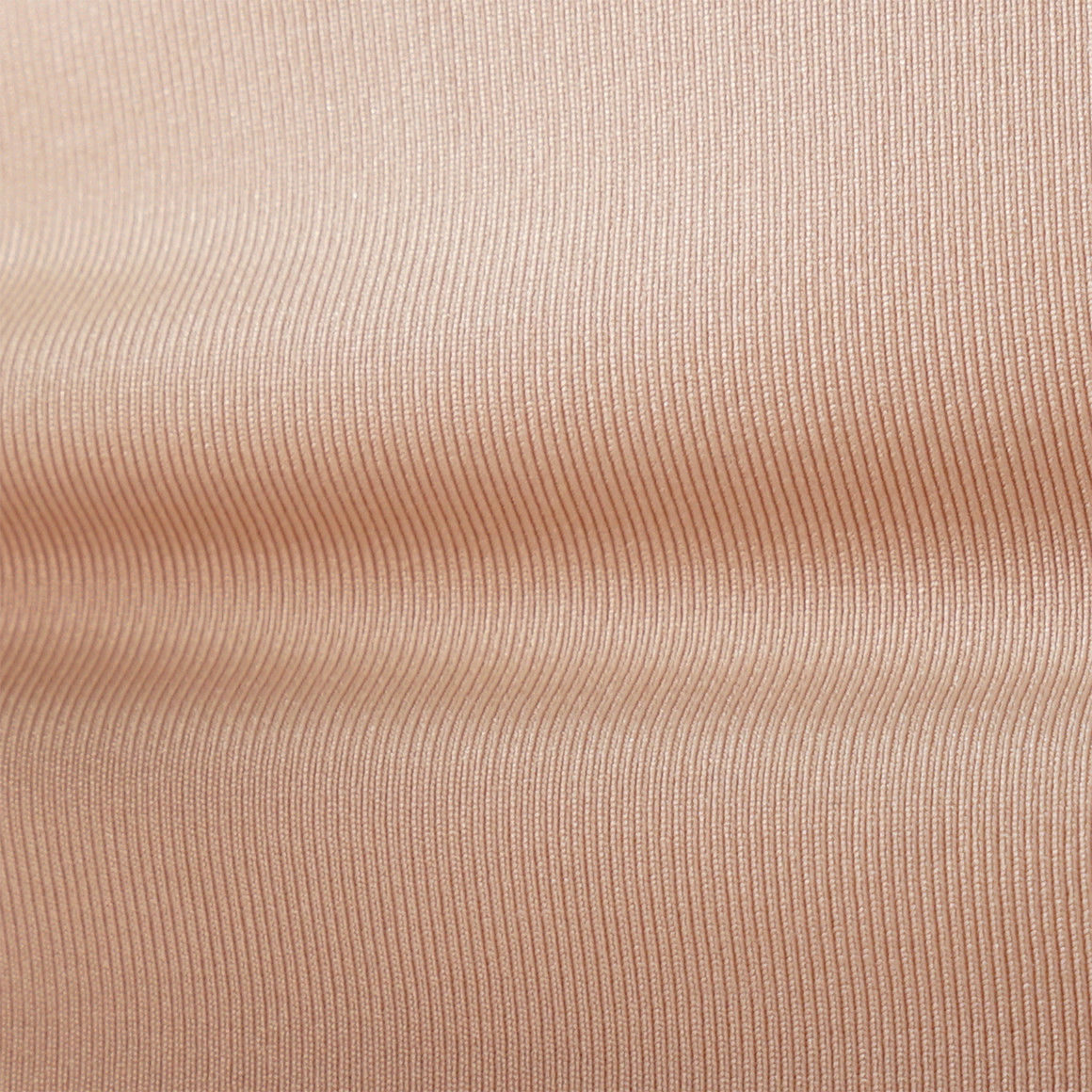 Gina Benotti 2 Damen Slips aus Mikrofaser beige