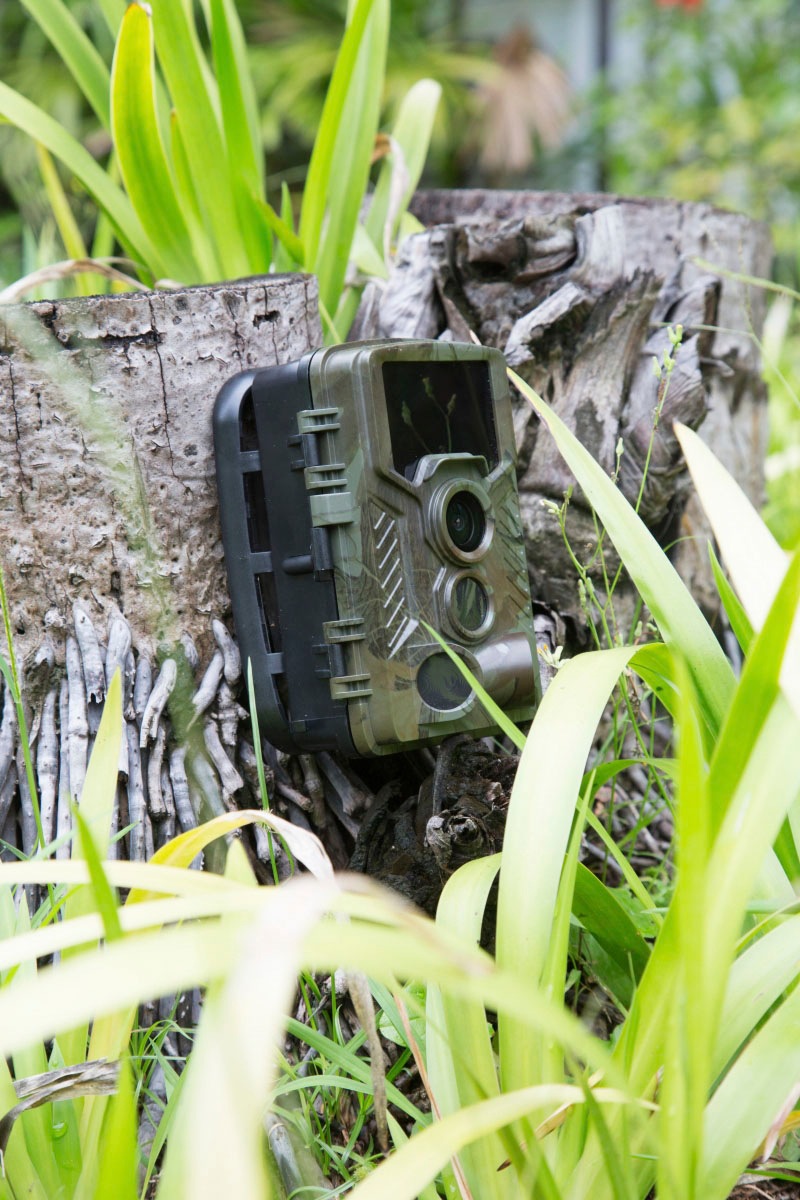 Technaxx Überwachungskamera »Nature Wild Cam TX-69« Innenbereich;Aussenbereich 1 Stk. tlg.
