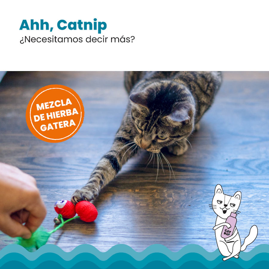 Brinquedo de pelúcia macio em formato de cereja para gatos, da Outward Hound Catstages Dental Cherrys.