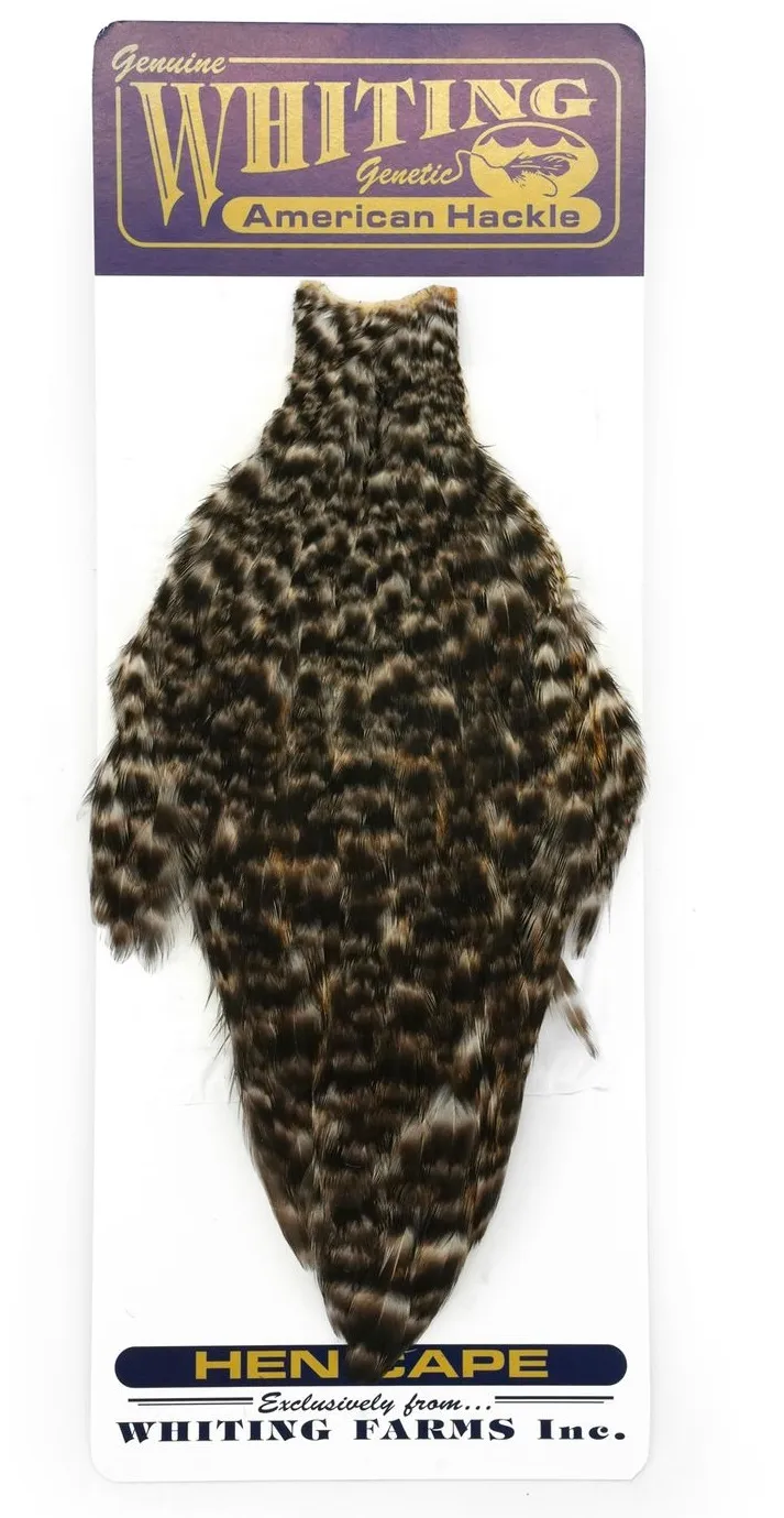 Whiting Whiting American Hen Cape
