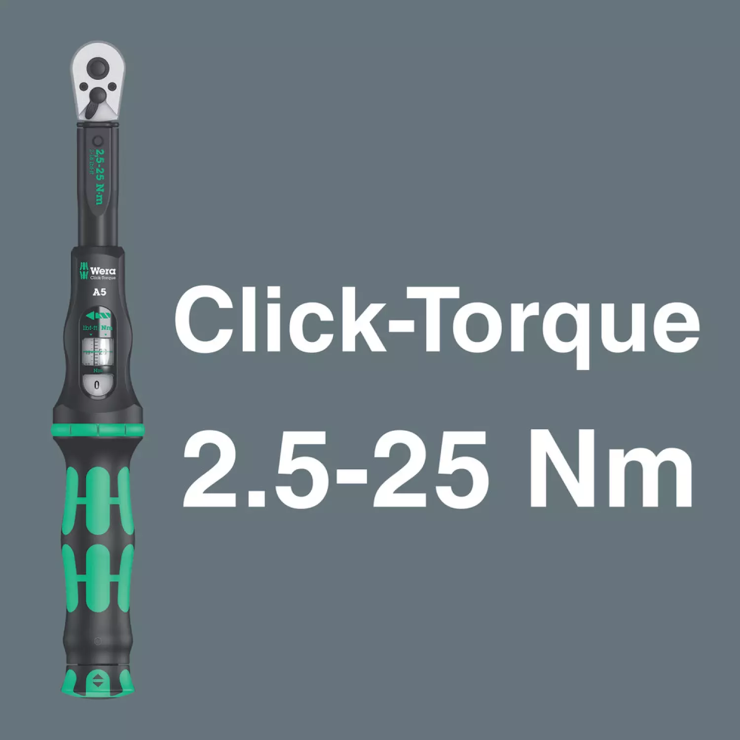 Wera 05004180001 Bicycle Set Torque 1 16-delige Momentsleutelset in etui - 2,5-25Nm - 1/4