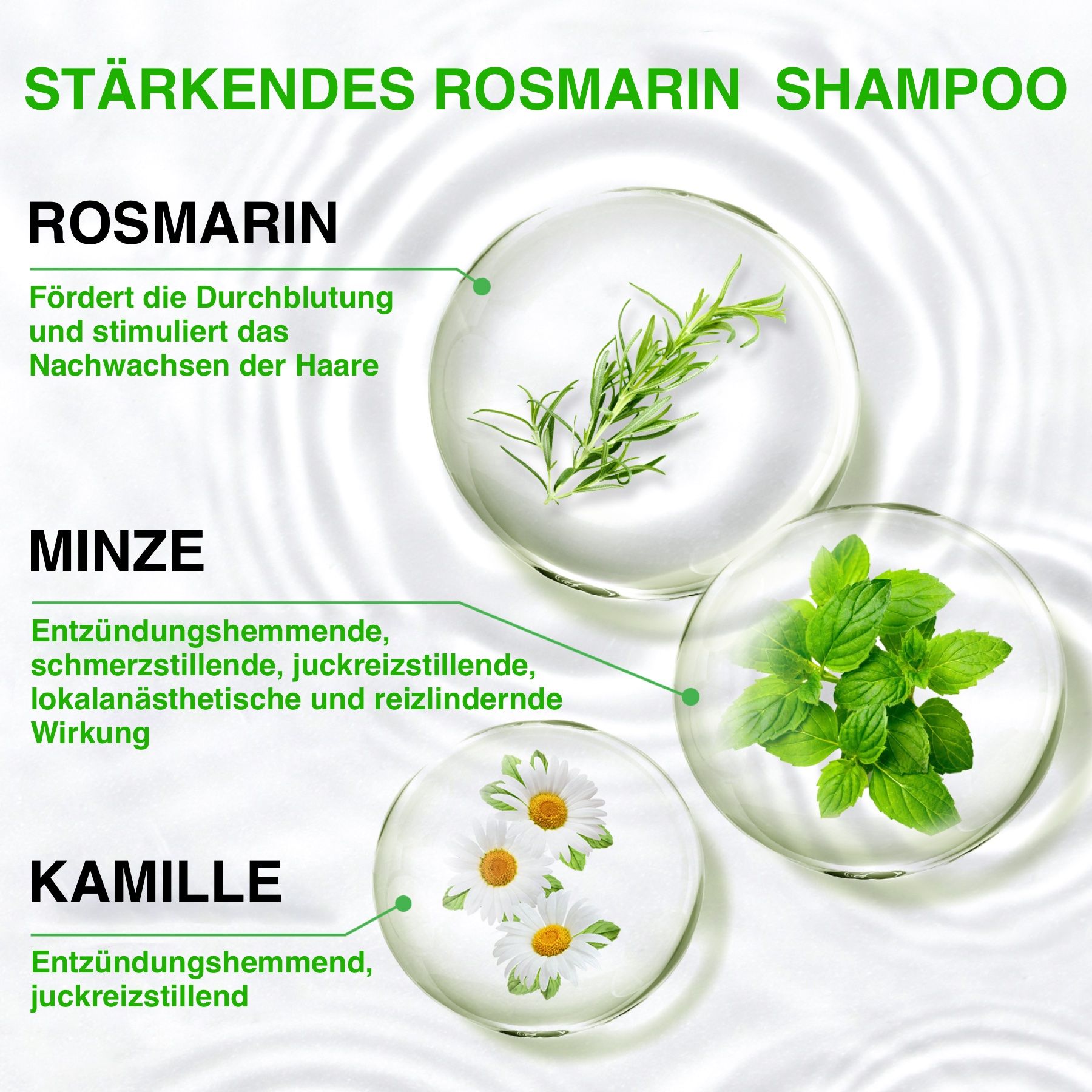 ALIVER Haarshampoo Rosmarinöl für Haarpflege