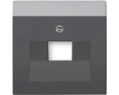 Busch-Jaeger 1803-885 Centrale afdekplaat, enkel, UAE Future Linear, zwart/mat