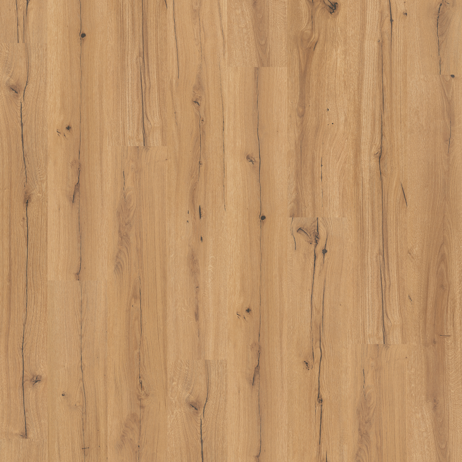 PARADOR Laminat BASIC 400 - Eiche Chronicle - 8 mm