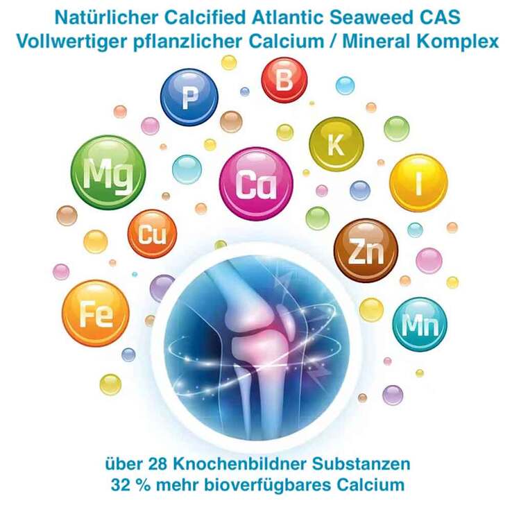 Sanomotion Strength K2 + D3 + Ca + Mg vegan Kapseln, 90 St