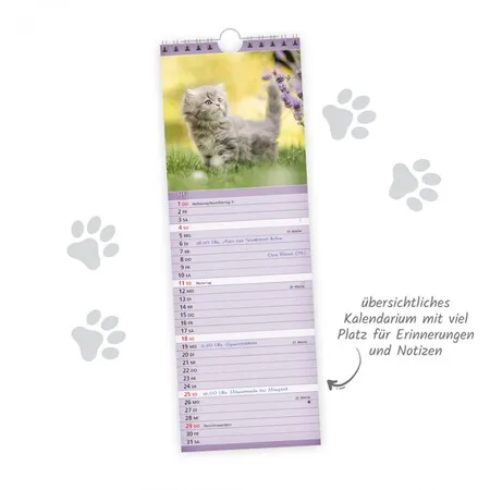 Trötsch Streifenkalender 