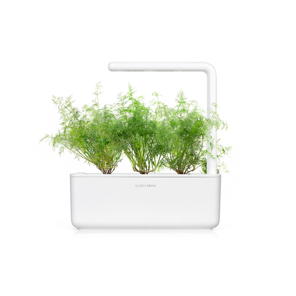 Click and Grow - Smart Garden Refill 3-pack - Dill (SGR49X3)