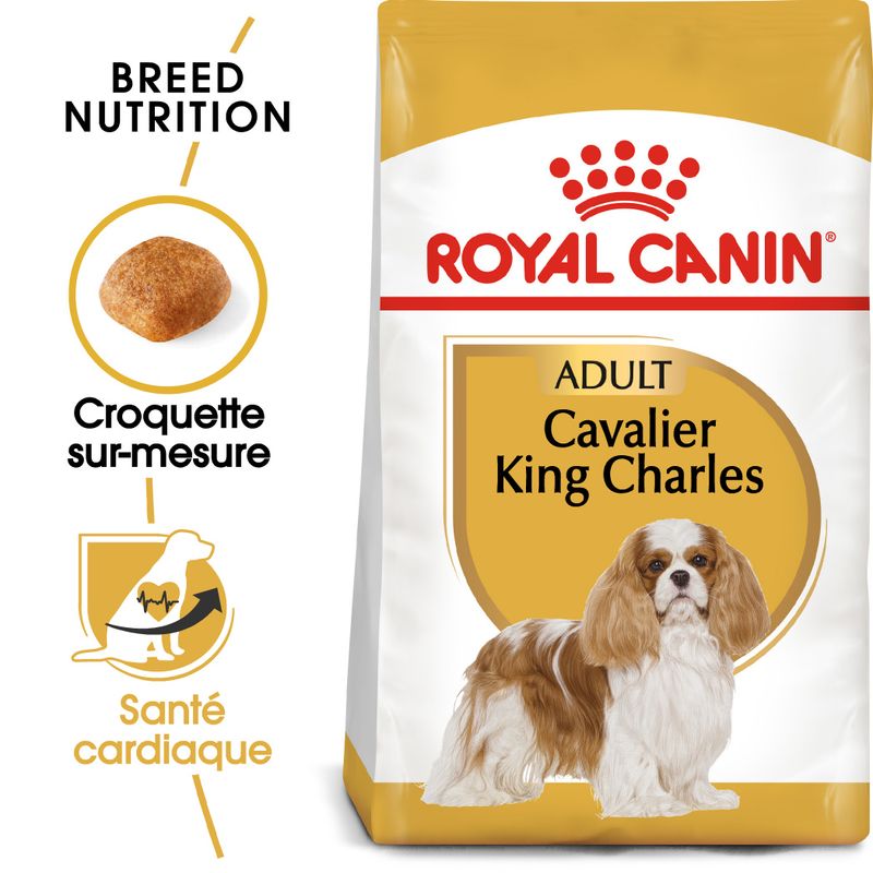 Royal Canin Cavalier King Charles Adult à prix discount sur bitiba.fr