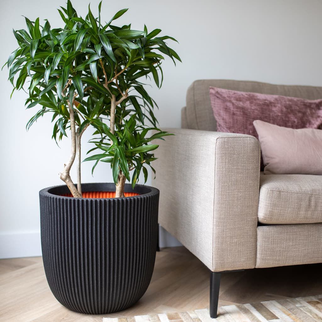 Capi Groove Plantenbak, 43x41 cm, zwart