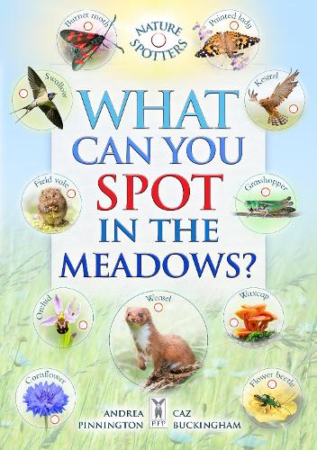 What Can You Spot in the Meadows (Paperback)