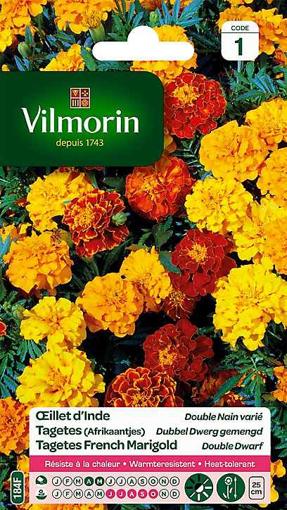 Graines d'Oeillet d'Inde Double Nain Varié Vilmorin