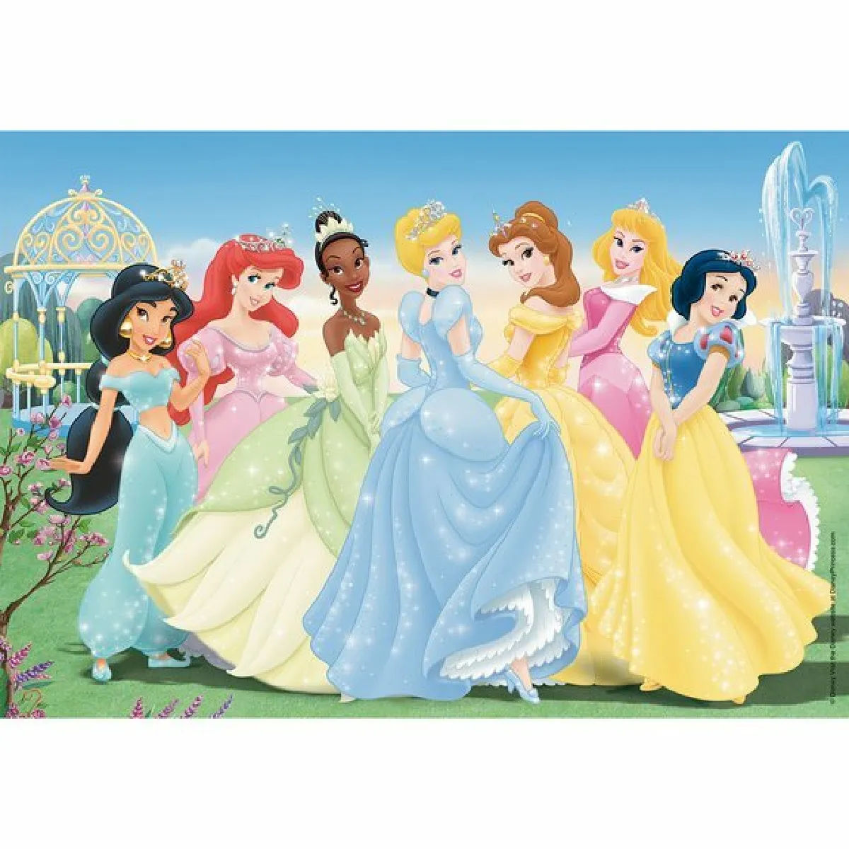 Ravensburger Puzzle 2x24 pièces Disney Princesses