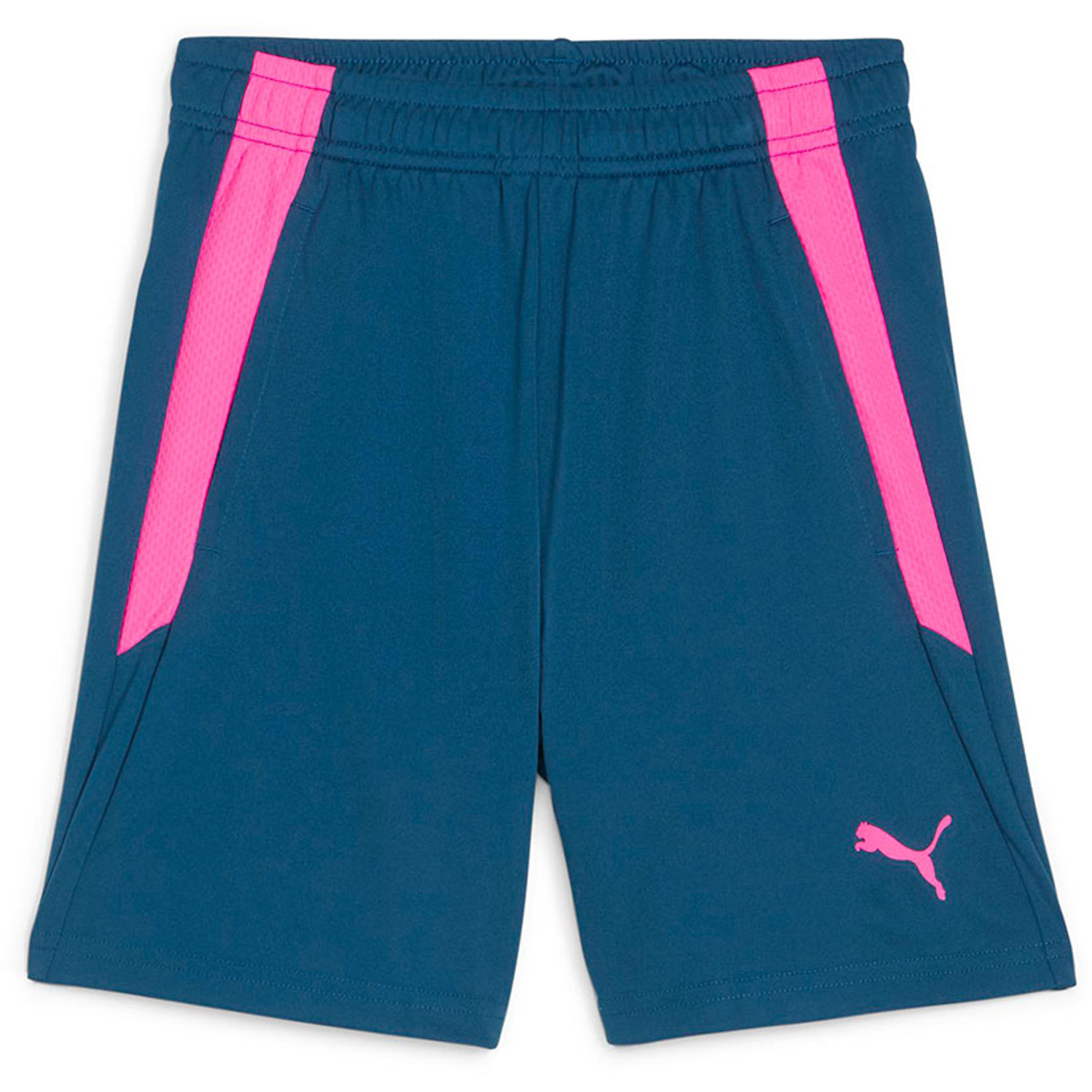 Puma LIGA Trainingsset Kids