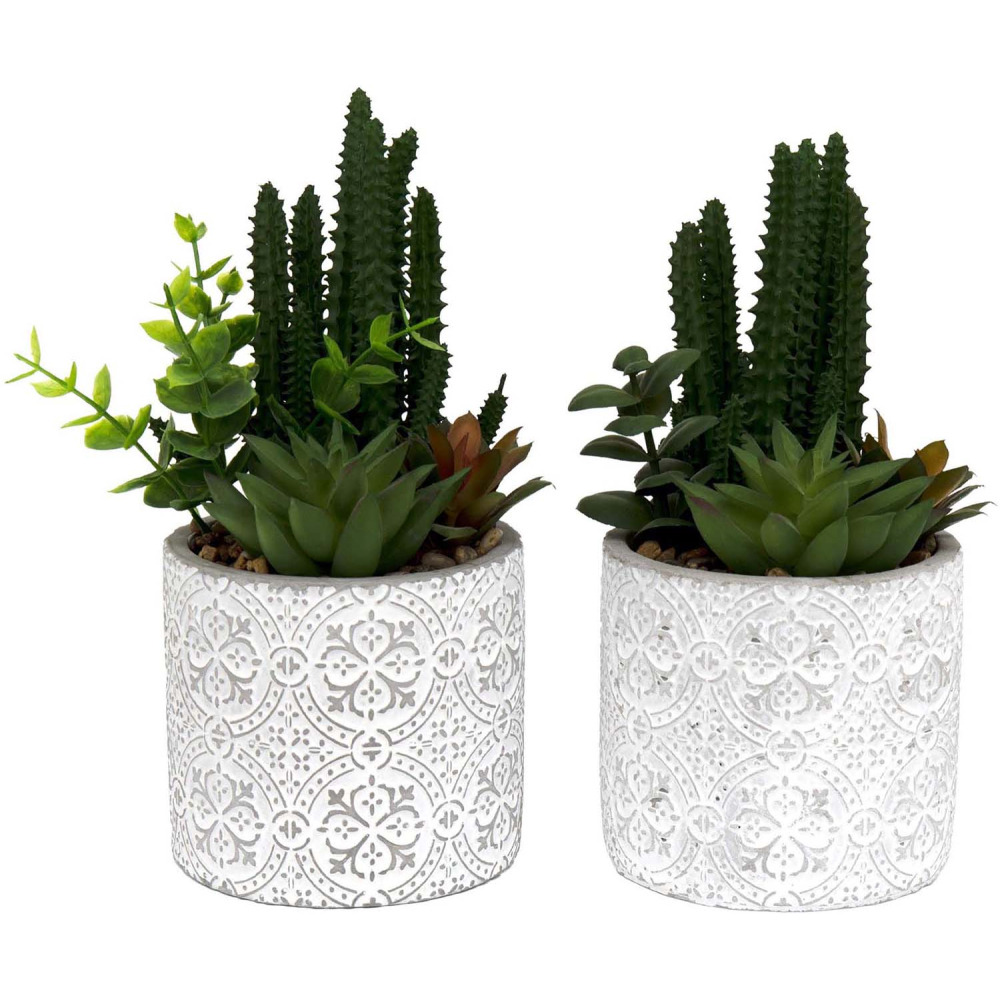 Plante succulente artificielle pot en ciment (lot de 2)