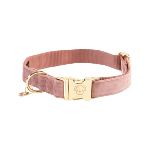 Kentucky Dogwear Velvet Hondenhalsband