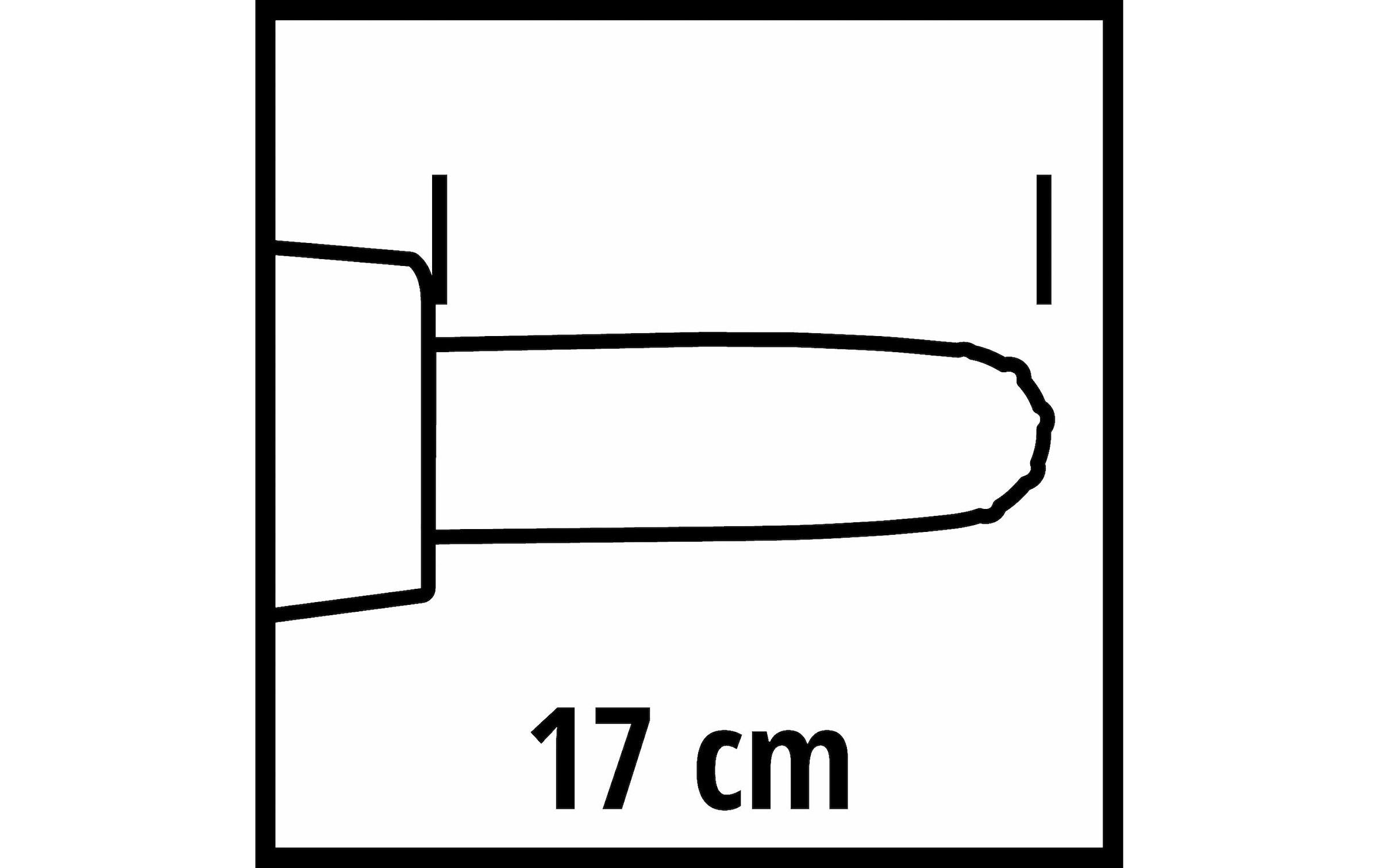 Einhell Akku-Hochentaster »GE-HH 18 Li T« ()