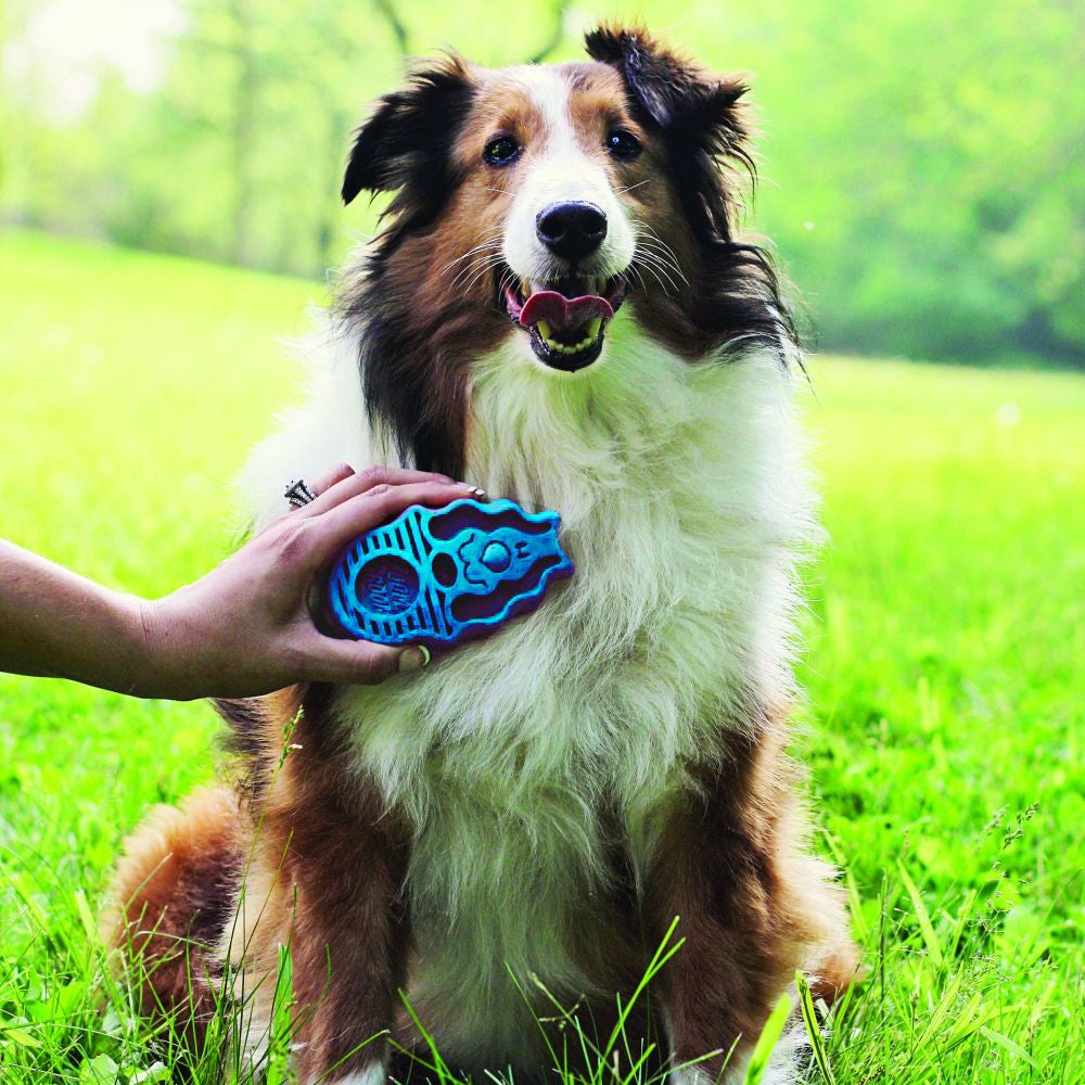 Kong hondenborstel ZoomGroom blauw 14 x 8 x 4 cm
