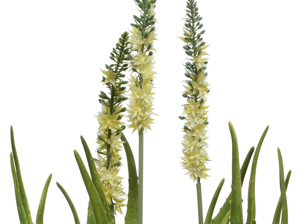 Agave artificielle en pot plastique