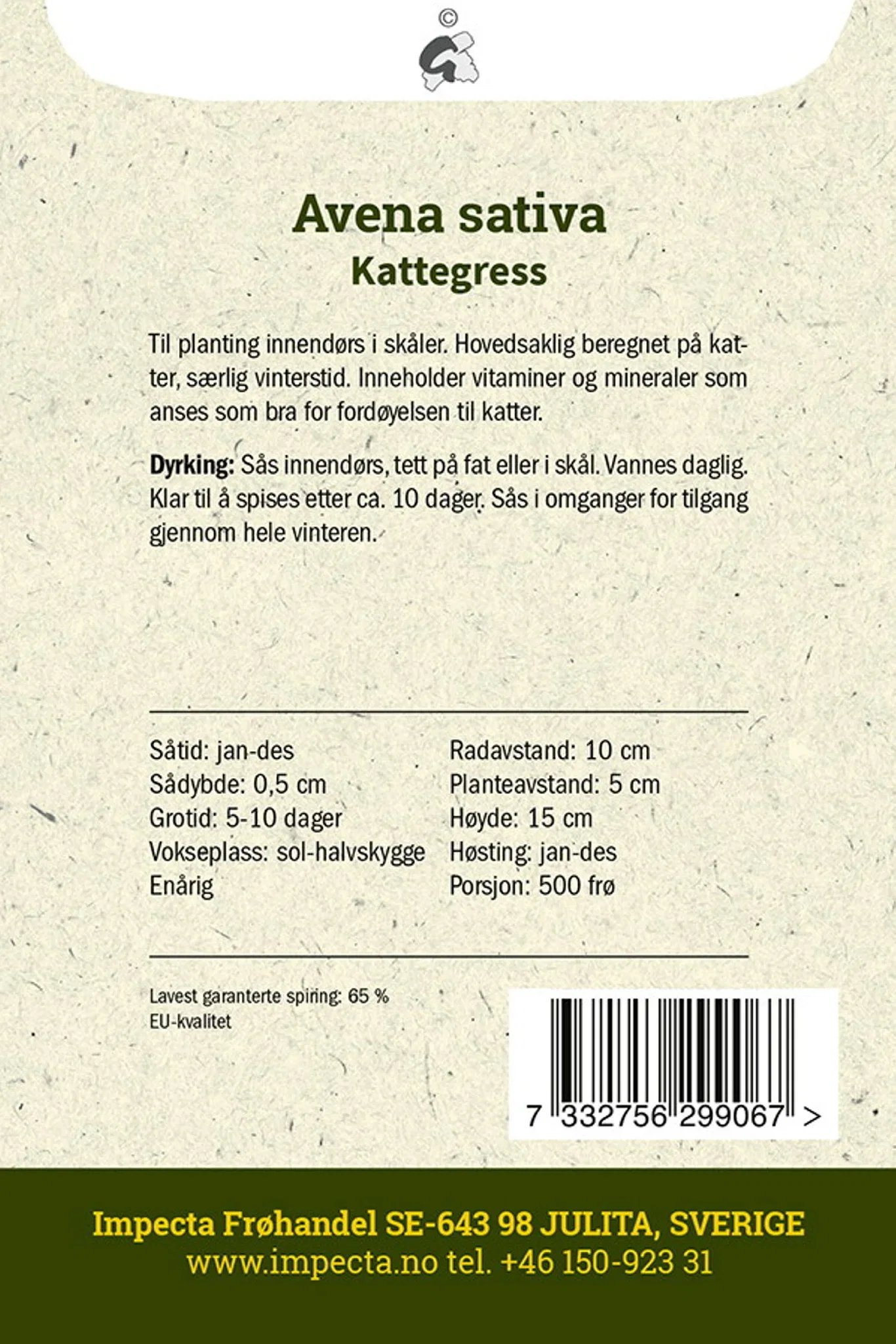 Avena sativa Kattegress
