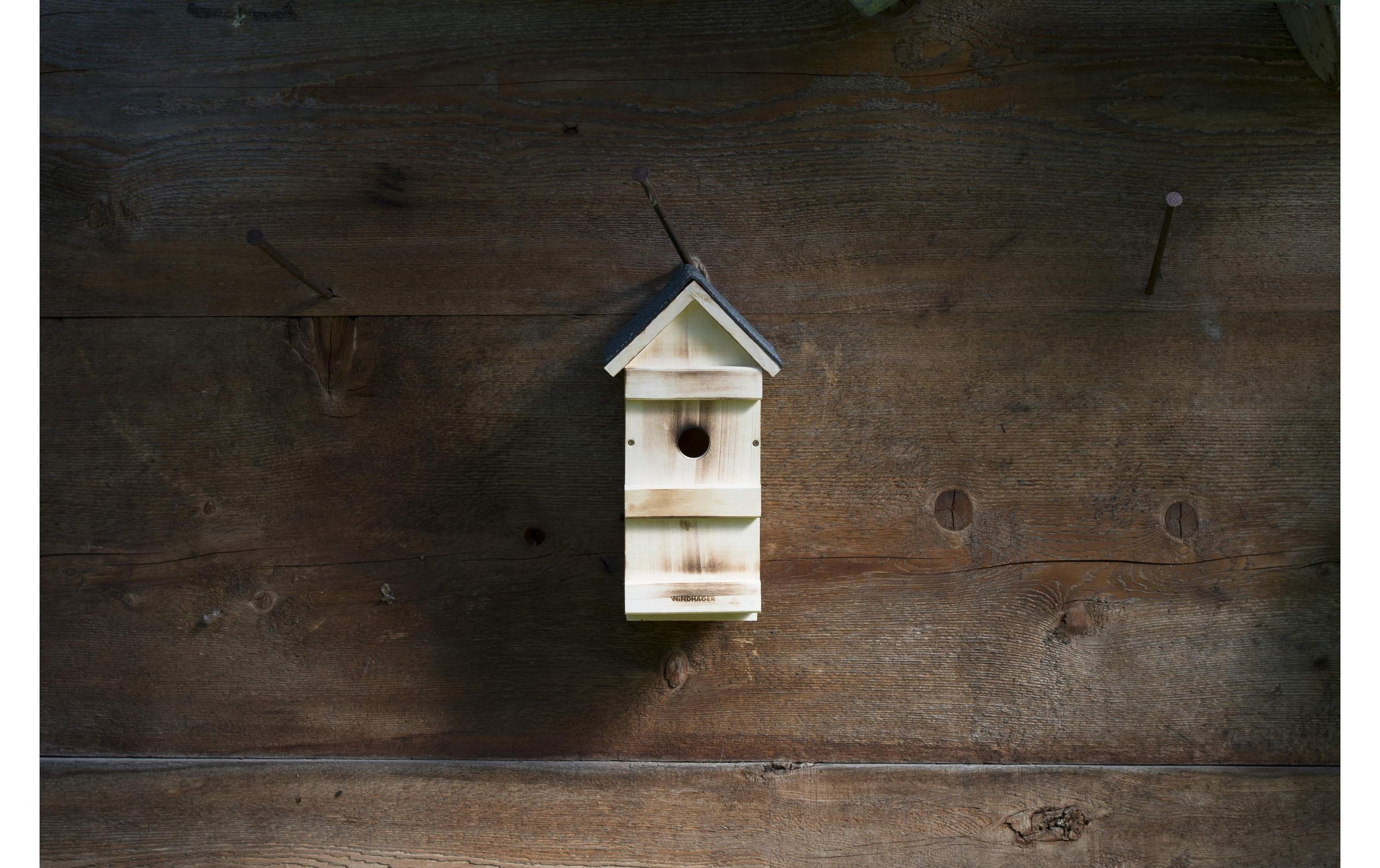 Windhager Nistkasten »3 in 1« Holzart: Fichte, Pappel (Bulgarien)