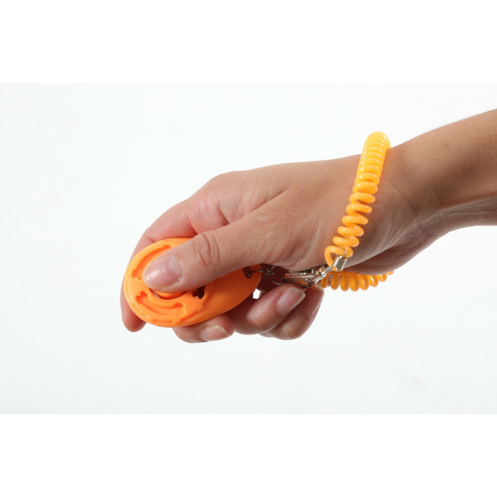 Clicker de dressage avec dragonne pour chien.