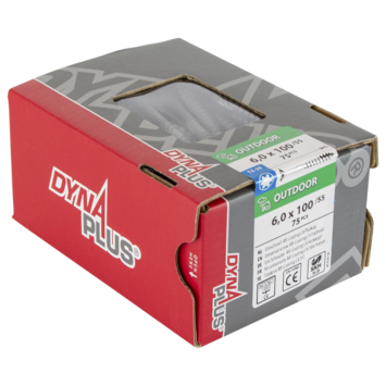 Dynaplus Schroef universeel platkop AR-coating TX-30 6.0x100 75 stuks