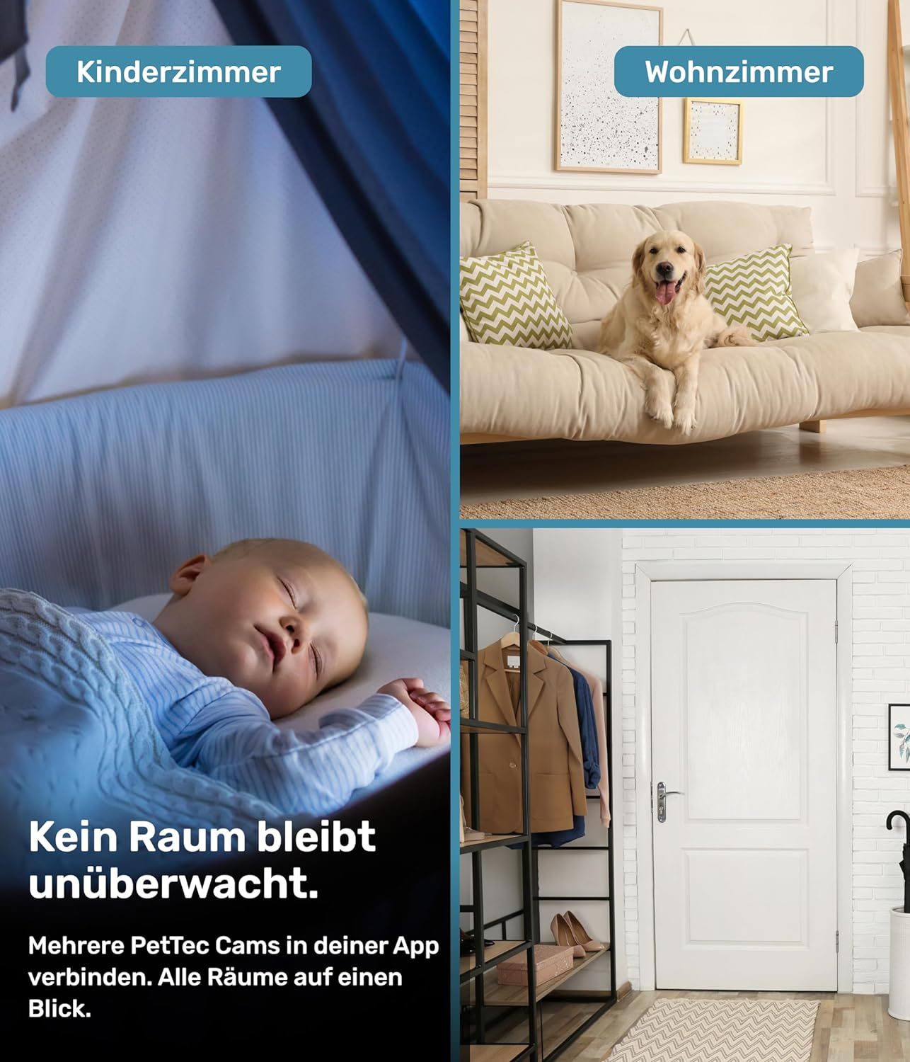 PetTec Pet Cam Feel