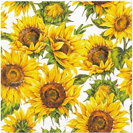 Mønstrede servietter 33x33 cm 20-pak