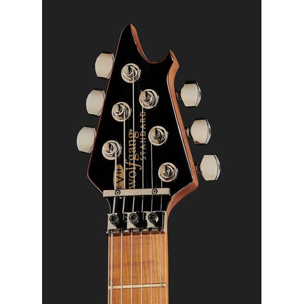 EVH Wolfgang WG Std QM CB
