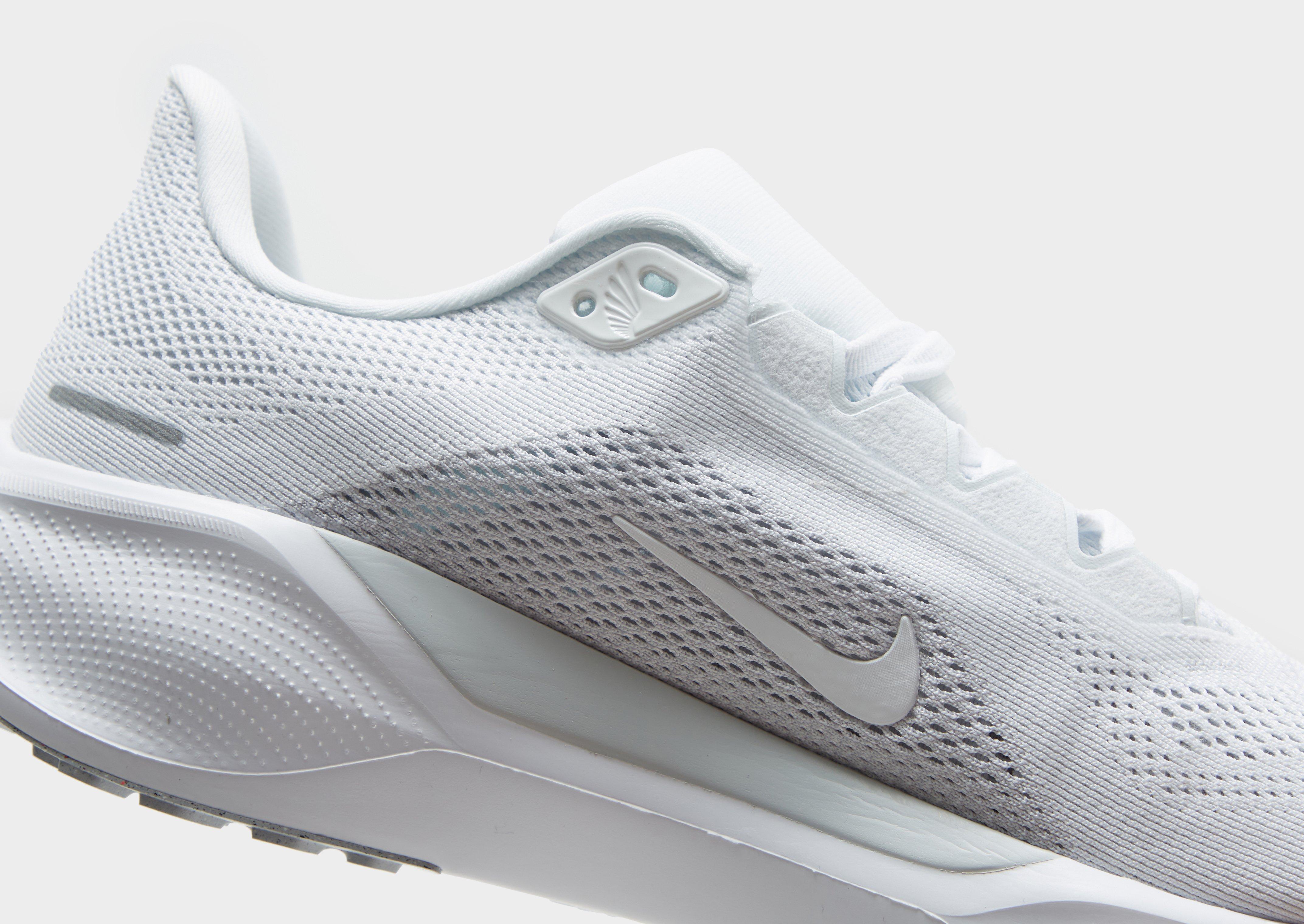Nike Pegasus 41 Homme