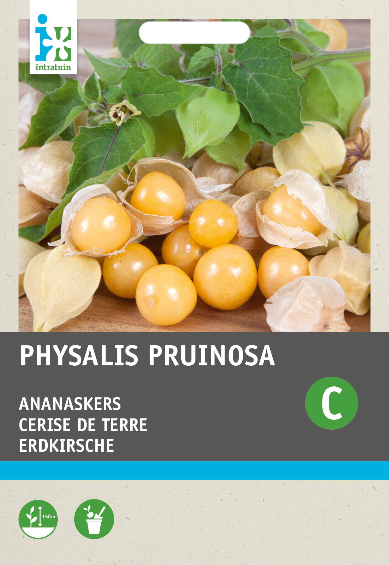 Intratuin groentezaad Ananaskers (Physalis pruinosa)