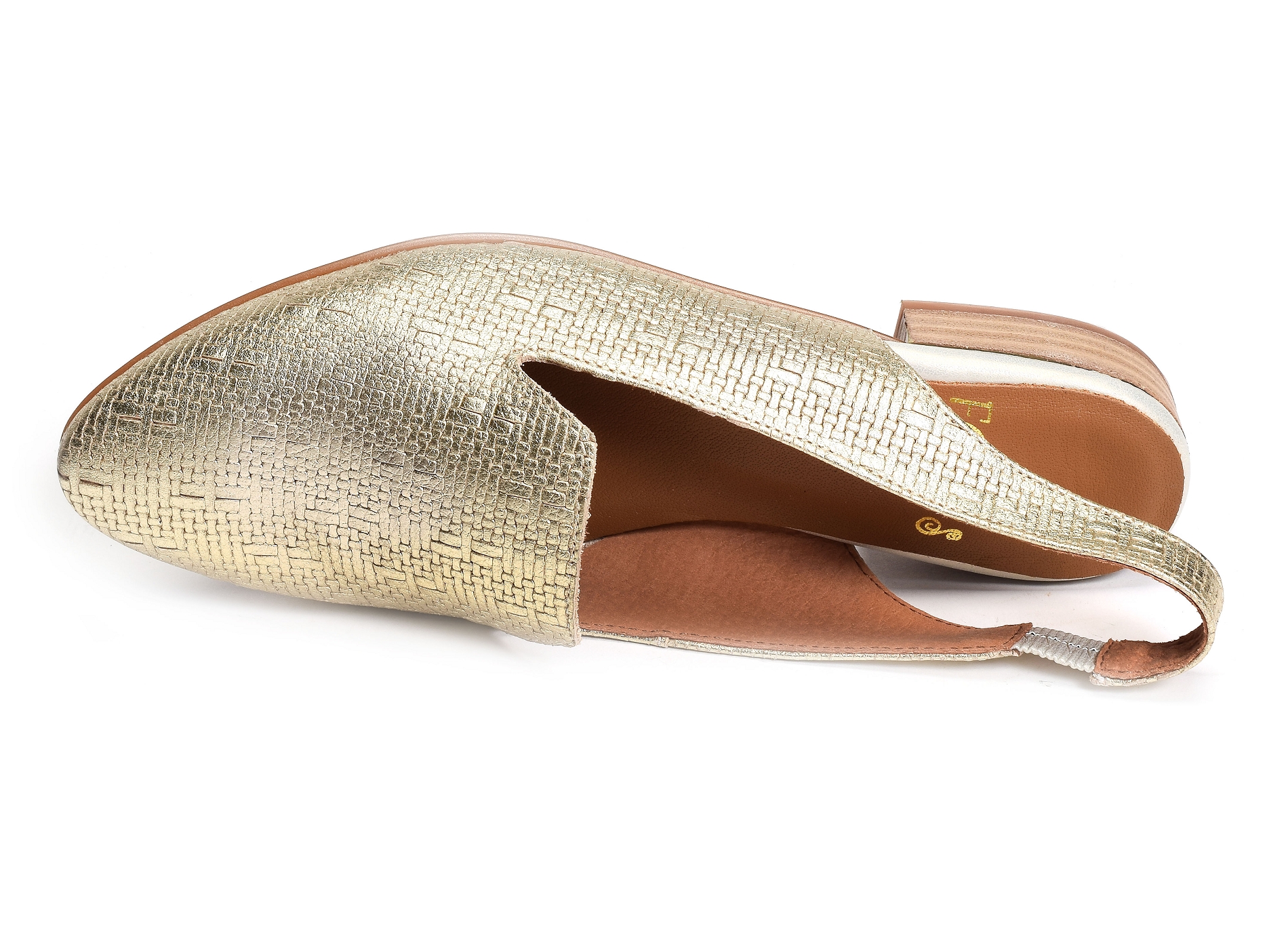 Molas champagne