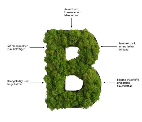 styleGREEN Buchstaben aus Islandmoos, ca. H25