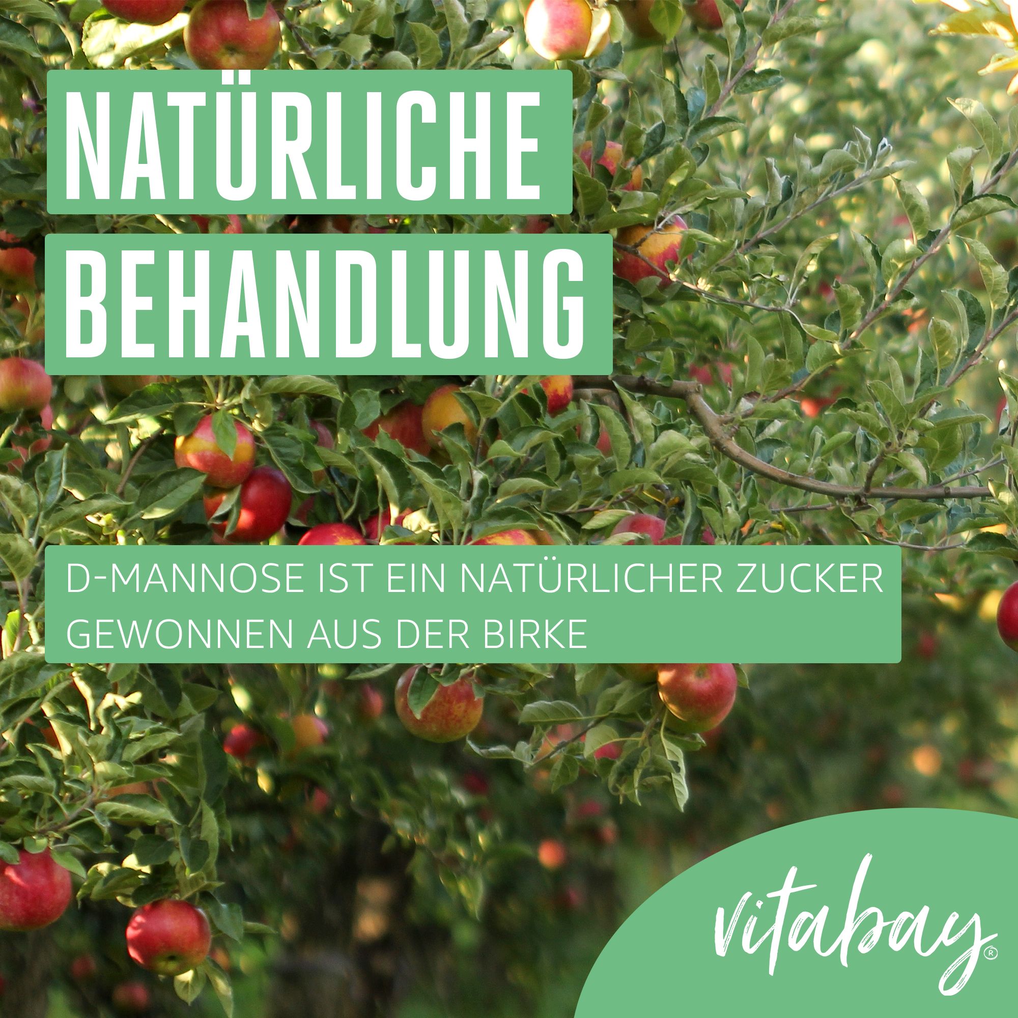 Vitabay D Mannose Pulver aus Birke