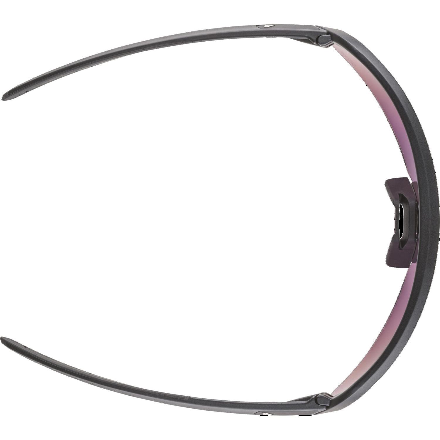 Alpina Turbo Pro S Q-Lite Sportbrille black matt
