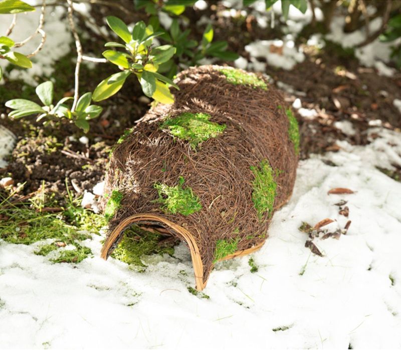 Tuinplus Egelmand - Riet