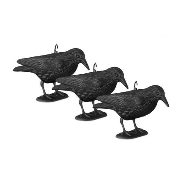 Scarecrow Crow sett med 3