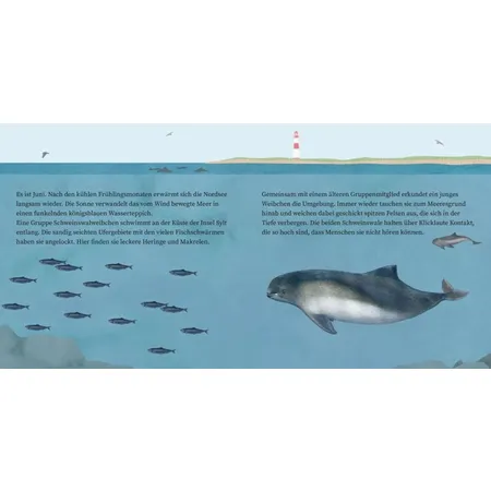 Carlsen Verlag LESEMAUS 135: Der kleine Wal und das Meer