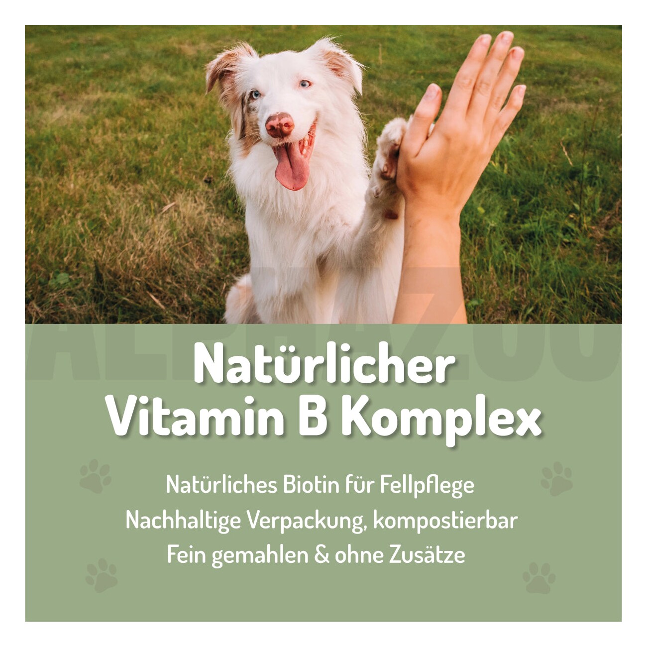 ALPHAZOO Bierhefe Pulver für Hunde & Katzen I Reine Hefe I Vitamin B Komplex 250 g