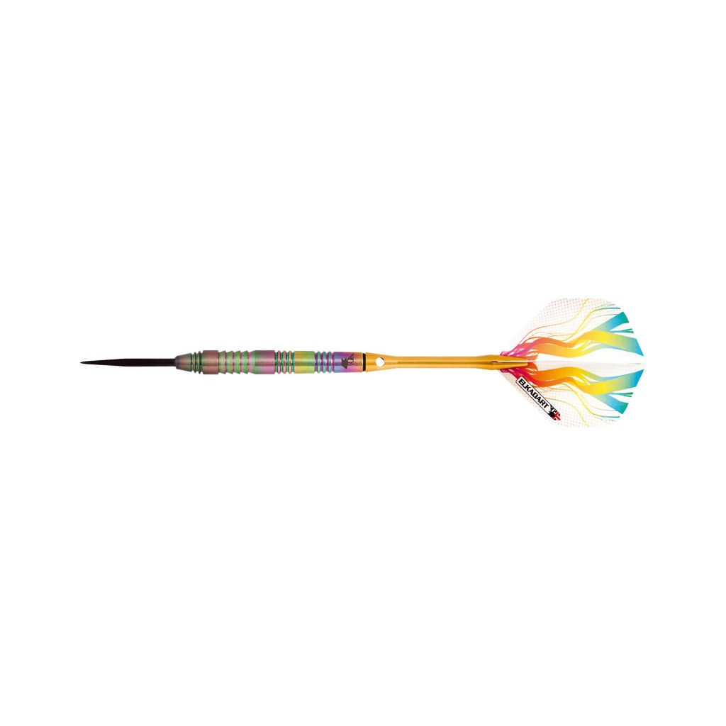 Fléchettes Rainbow Tungstène 25g (Pointes Acier)
