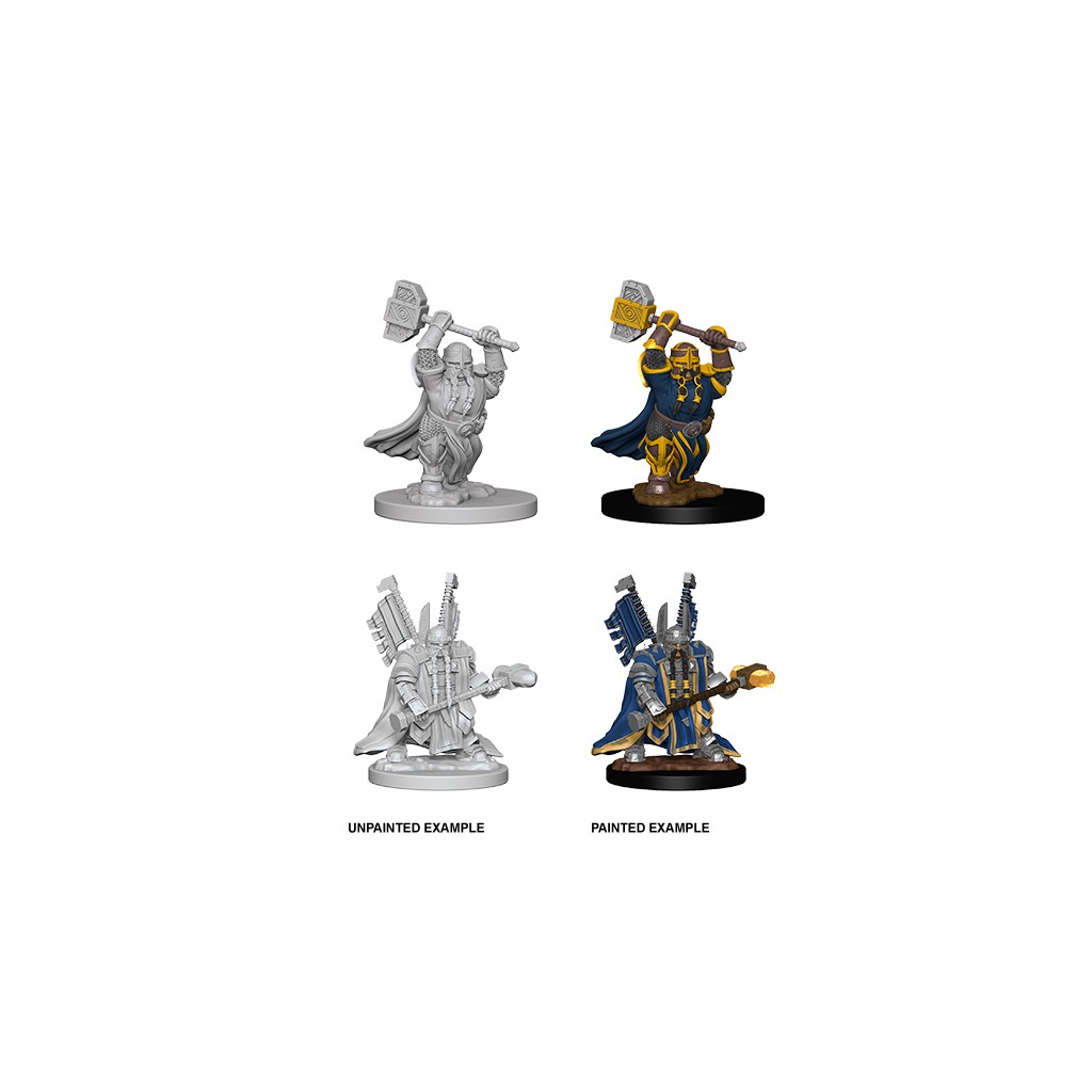 D&D Nolzur's Marvelous Unpainted Miniatures: Dwarf Male Paladin