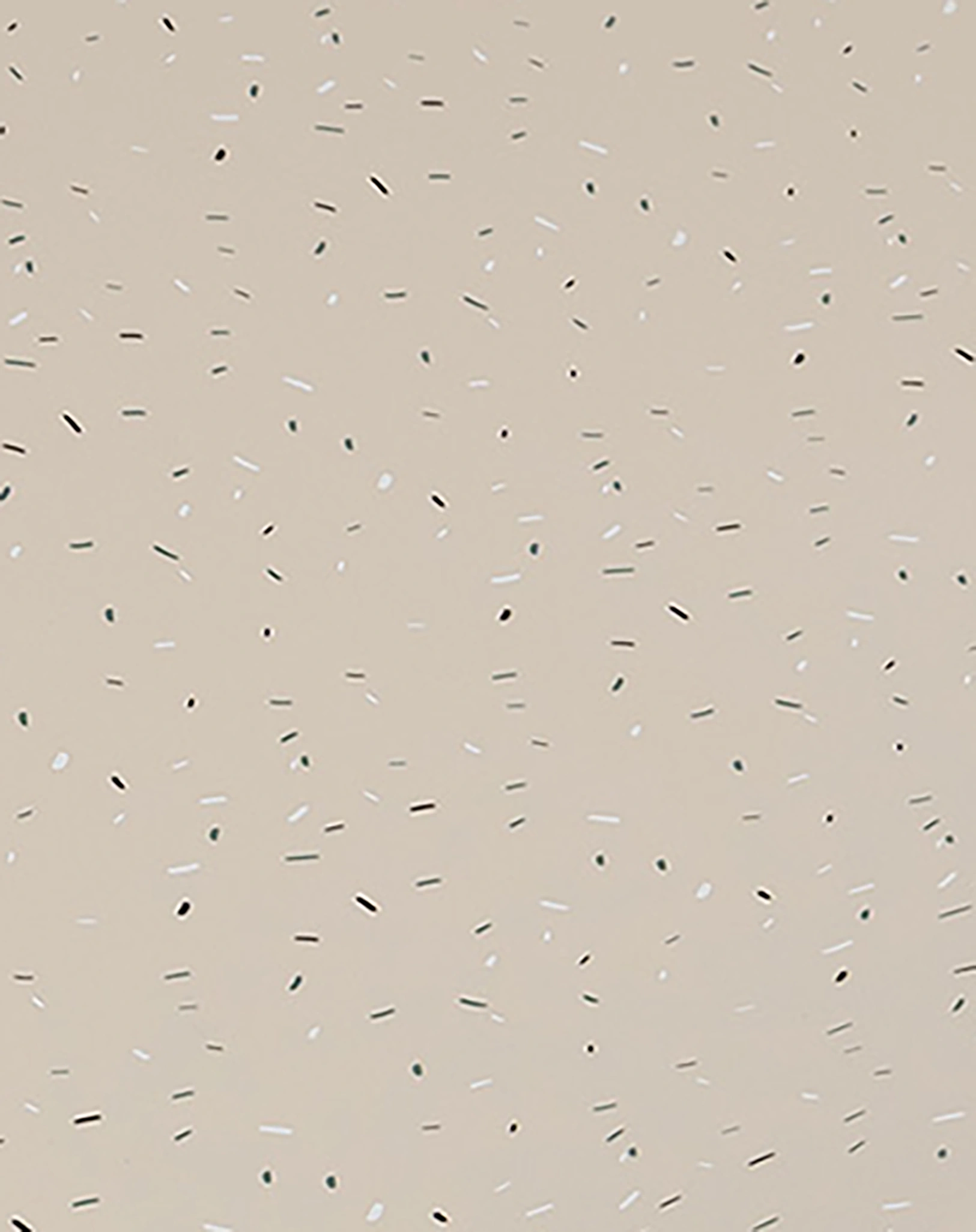 Wickelauflage EASY WIPE - CONFETTI (50x65x10) in sand