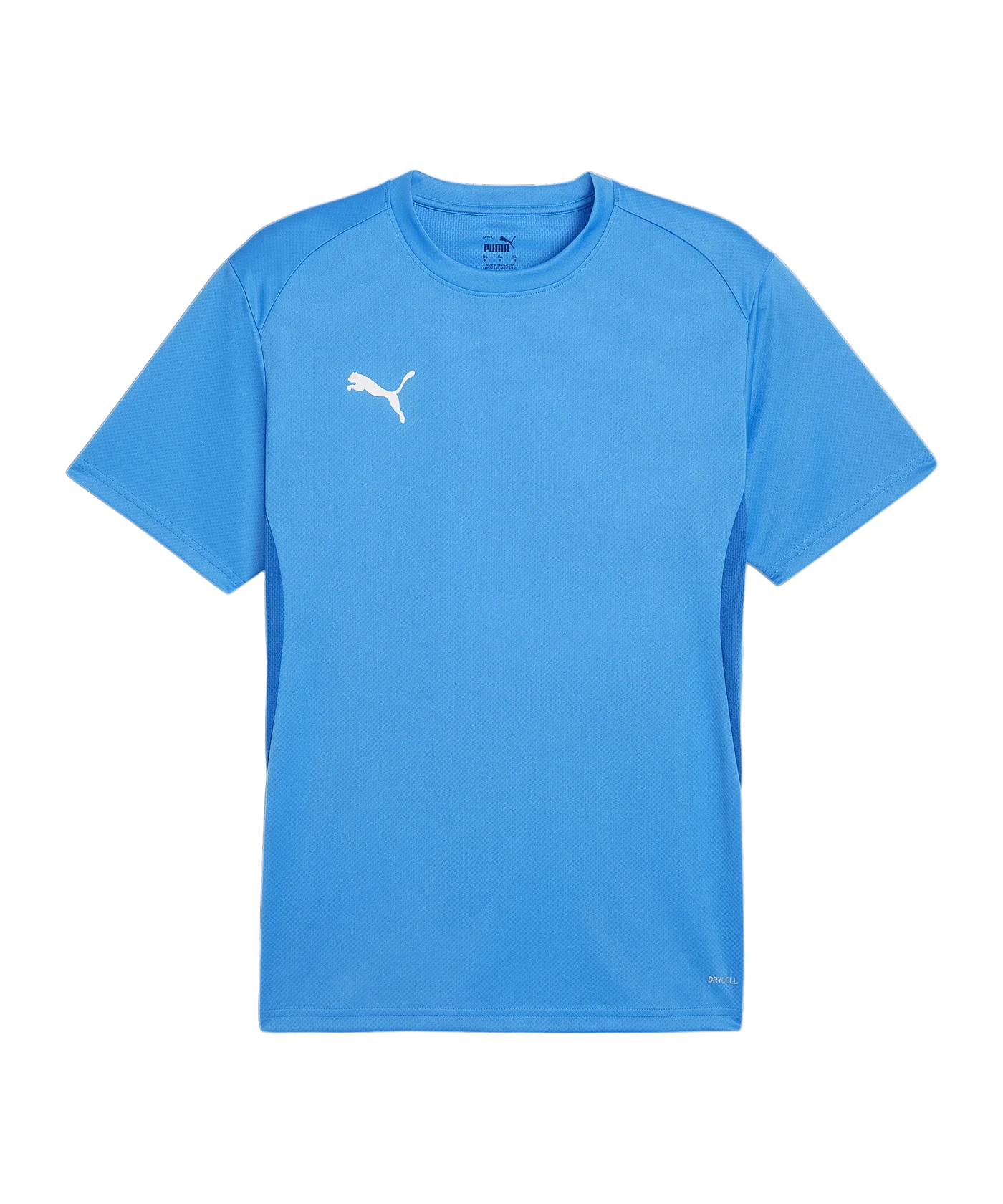 PUMA teamGOAL Trikot Blau F02