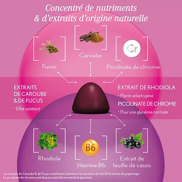 Oenobiol Slimming 60 gomas