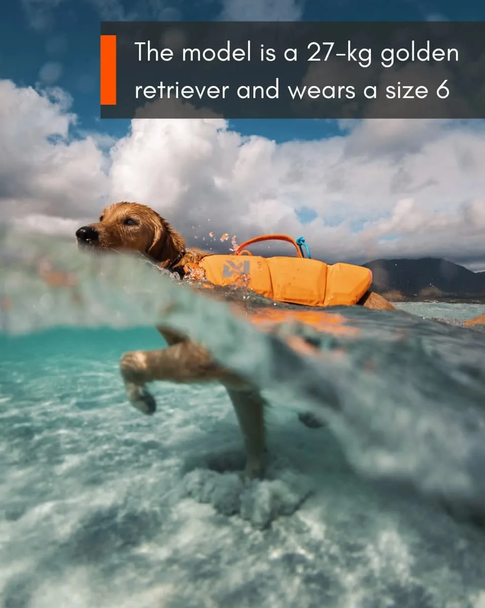 Non-stop Dogwear Protector Life Jacket Size 2-4 Black/Orange