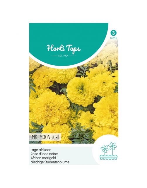 Hortitops Tagetes - Lage Afrikaan Mr. Moonliggeel - Bloemenzaden - 500 g