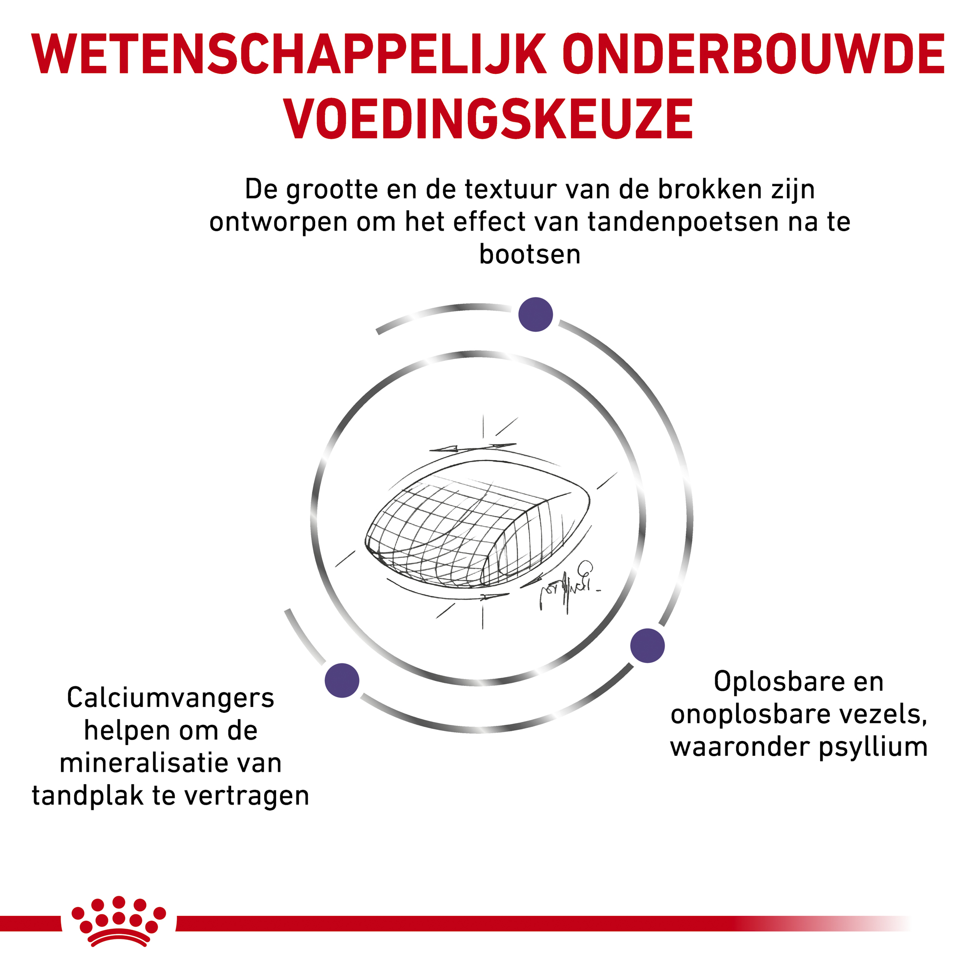 Royal Canin Dental Kat